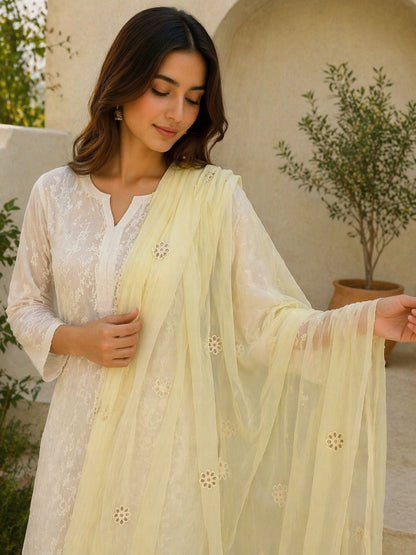Dupata Fabric chiffon
