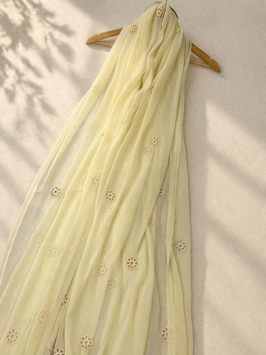 Dupata Fabric chiffon